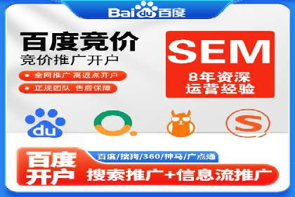 某企业通过SEO和SEM双管齐下实现业绩飞跃的案例